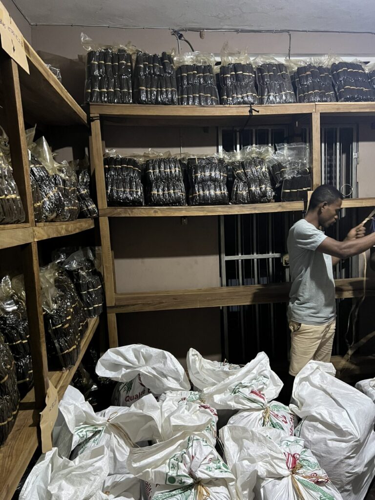 Gousses de vanille de Madagascar en atelier avant extraction du caviar