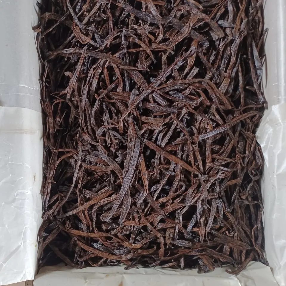 Morceaux de gousses de vanille cuts de Madagascar pour l’extraction industrielle