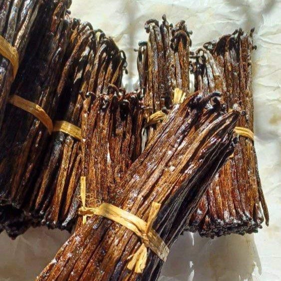 Gousses de vanille rouge Europe de Madagascar préparées pour le marché européen