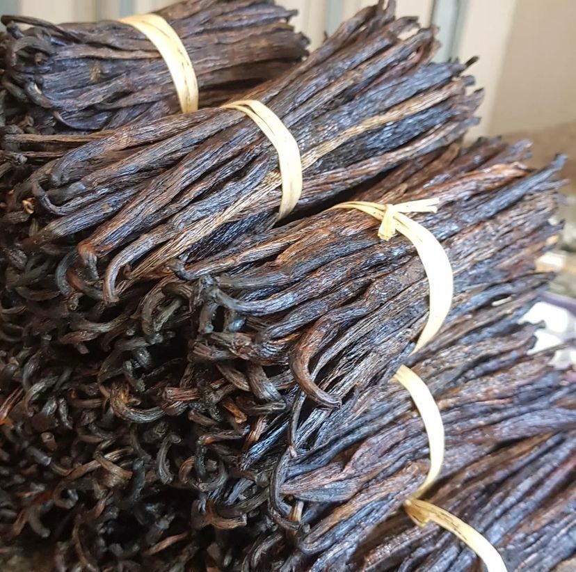 Gousses de vanille rouge US de Madagascar destinées aux producteurs d’extraits